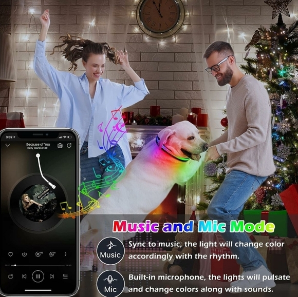 Mutovlin Light Up Bluetooth APP Multiple RGB Colors Led Dog Collar Size Large - Picture 2 of 12
